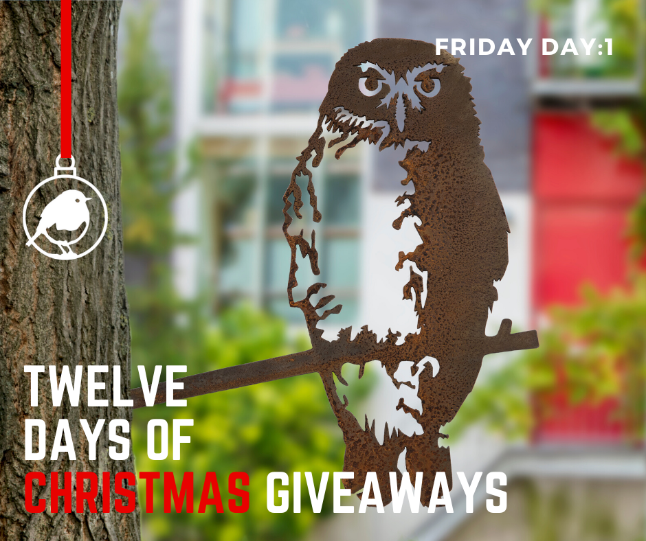 12 jours de Noël giveaways! 🎄🐦🎁🎶