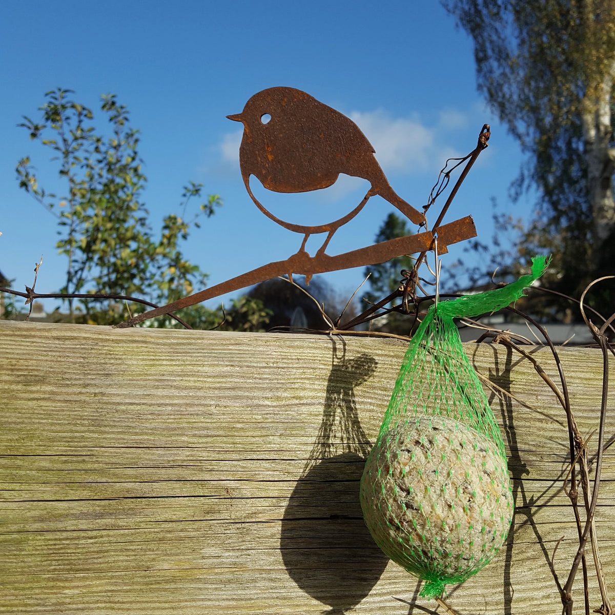 Les oiseaux se nourrissent toute l'année