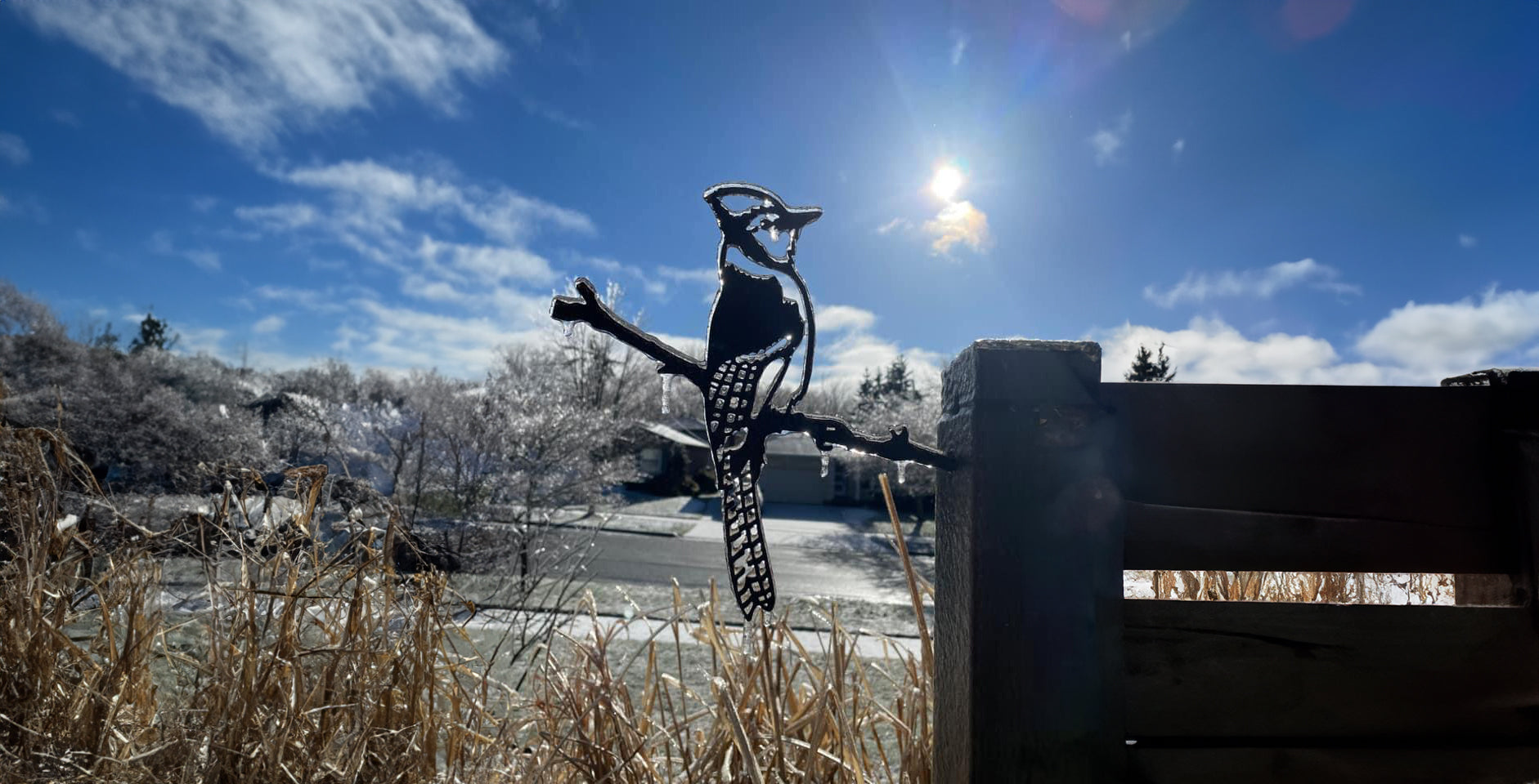 Backyard Installations That Stop Traffic