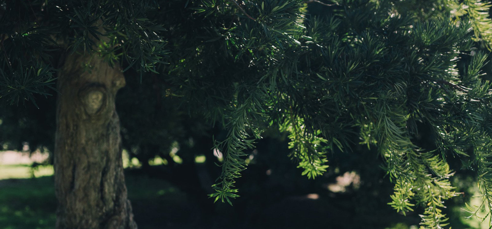 Made Local. Made Sustainable. Made for Birds.