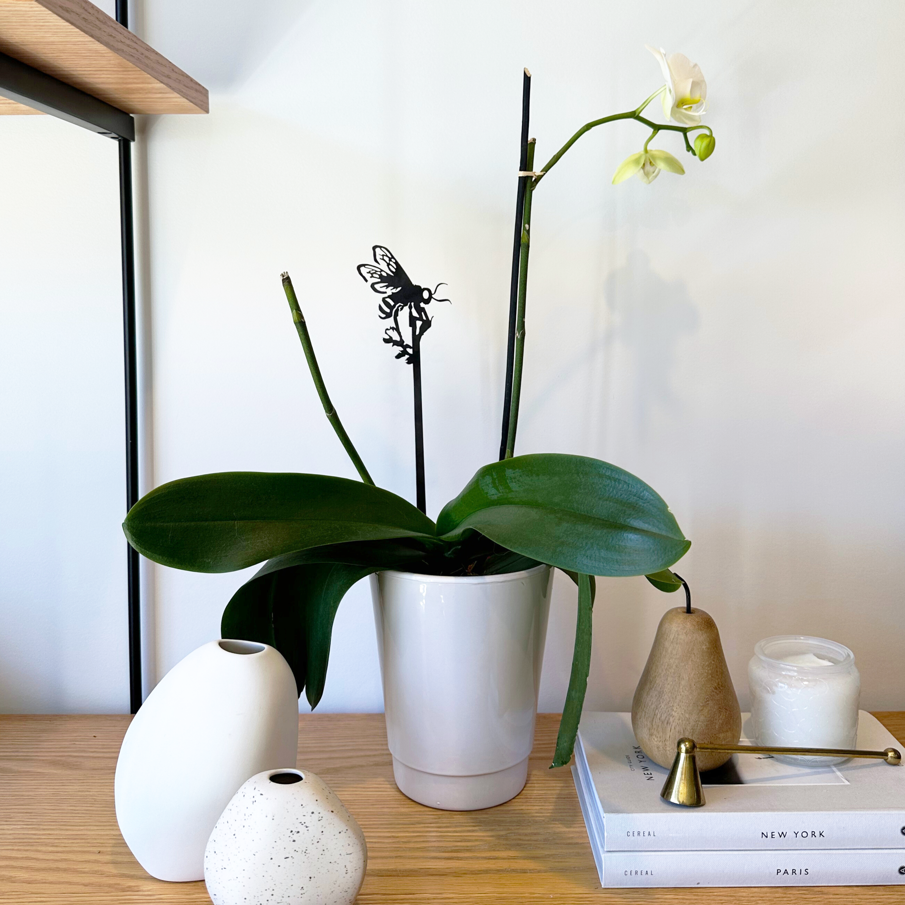 Tuteur de plantes abeille domestique