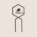 Treillis pour plantes Rouge-Gorge