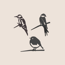 Coffret cadeau de Noël de luxe