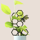 Coffret cadeau de Noël de luxe