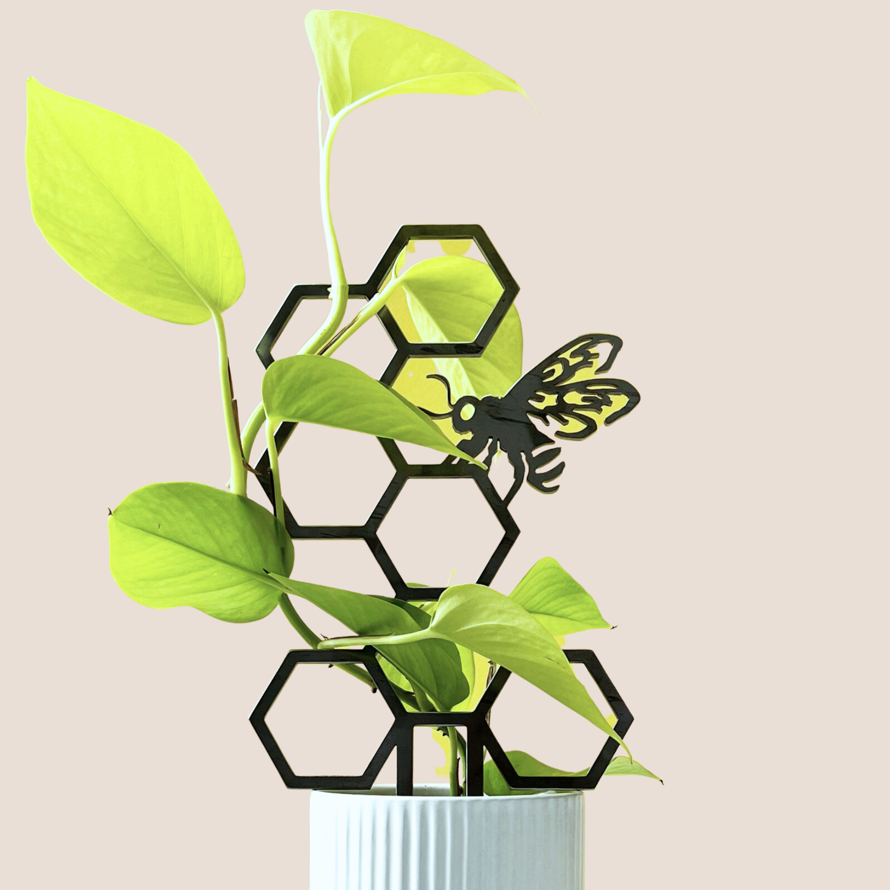 Coffret cadeau de Noël de luxe