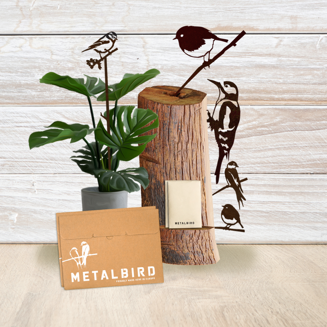 Coffret de Noël Classique