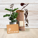 Coffret de Noël Classique