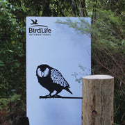 Kakapo