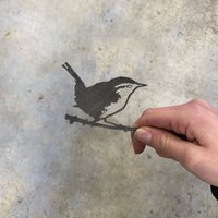 Le lot d’oisillons – L’hirondelle, le pivert et la troglodyte mignon