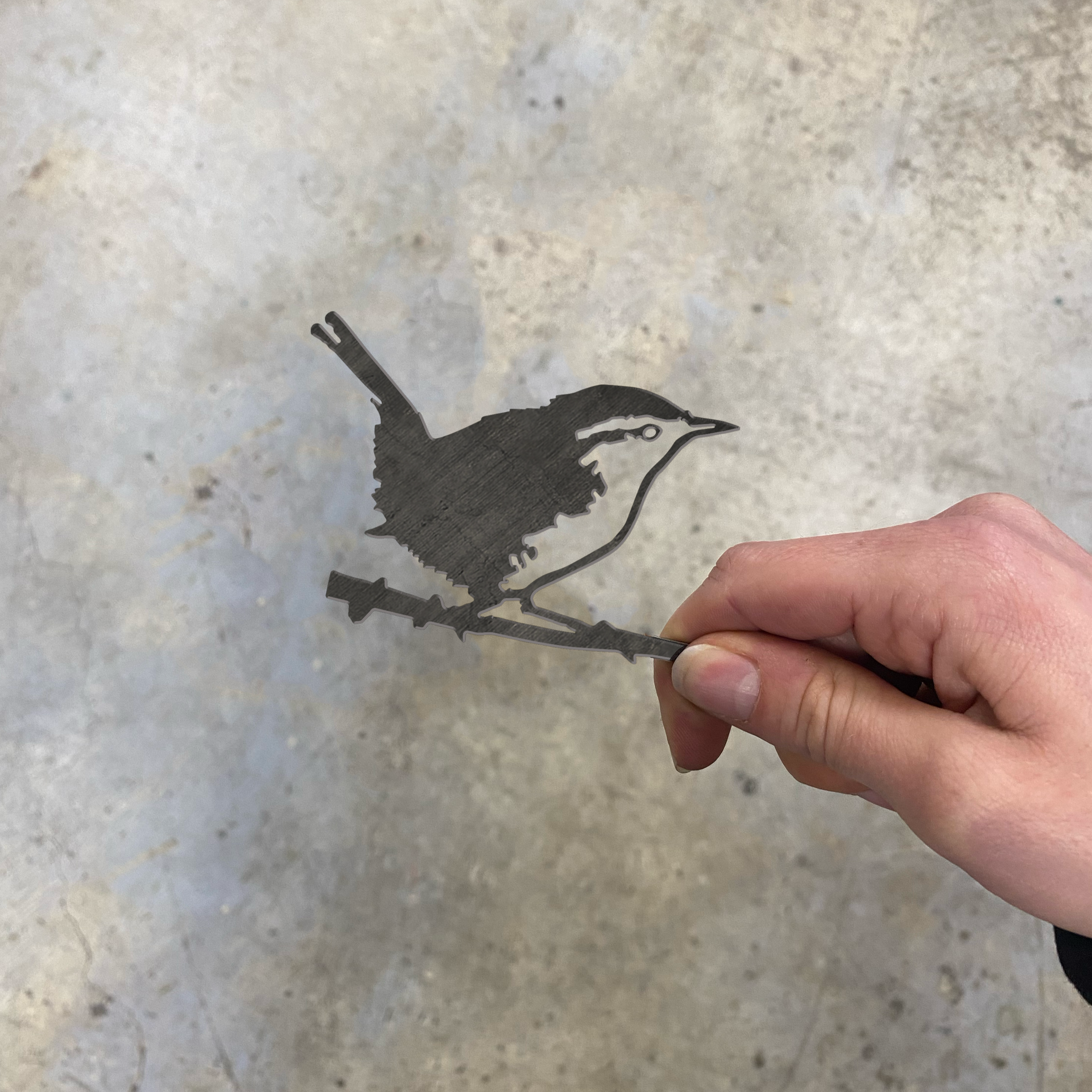 Le lot d’oisillons – L’hirondelle, le pivert et la troglodyte mignon