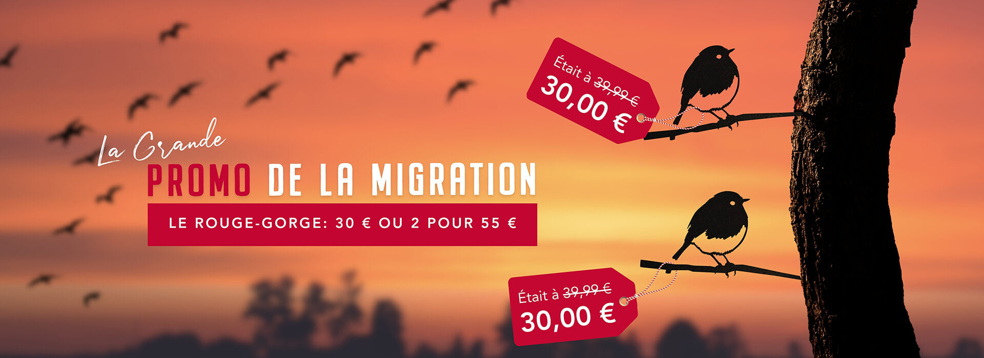 Promotional banner for a migration sale with bird silhouettes and sunset background