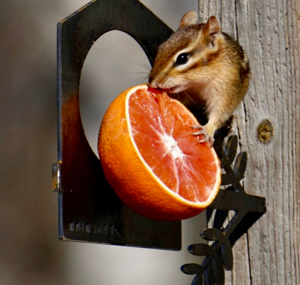La Mangeoire À Oiseaux