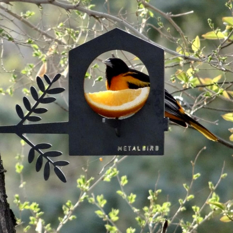 Bird Feeder La Mangeoire à Oiseaux Géniale – Le Jardinier de Montmartre