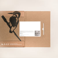 Le Martin Pêcheur D'Europe