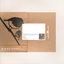 Le Rouge-Gorge Et Son Oisillon