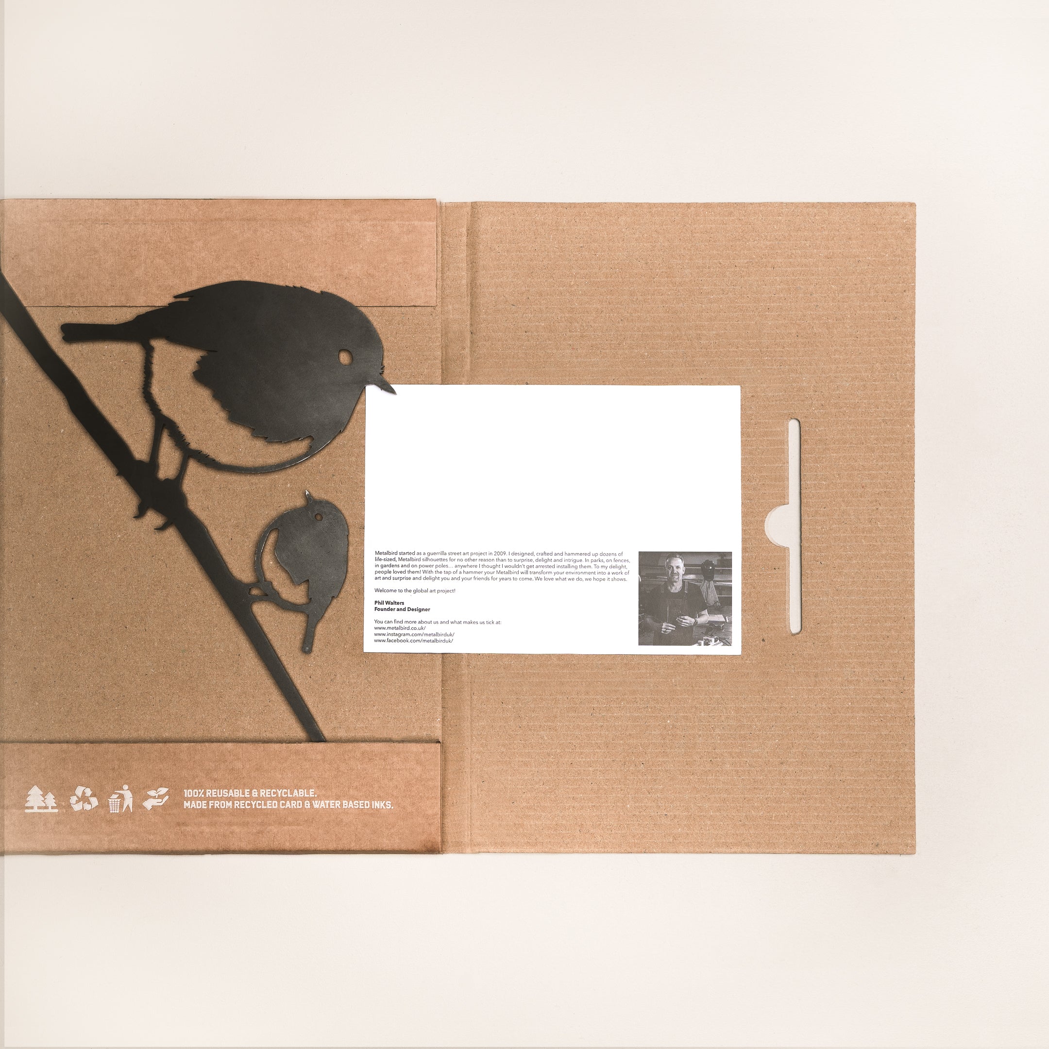 Le Rouge-Gorge Et Son Oisillon