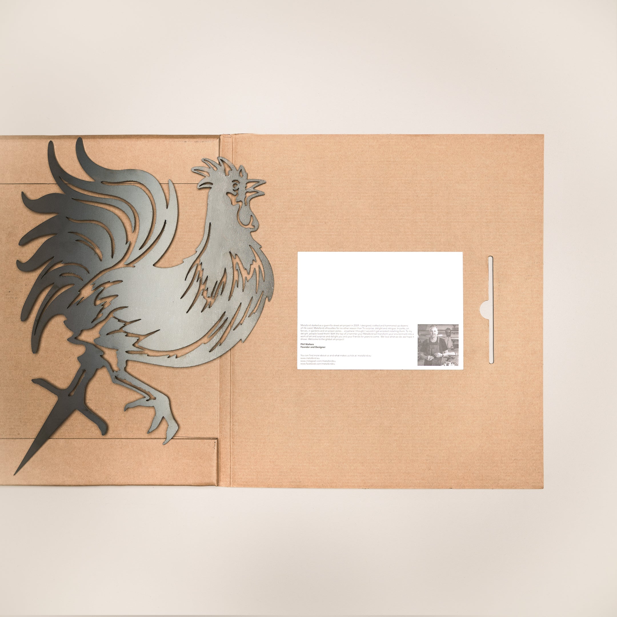 Coq Gaulois - Emblème De La France