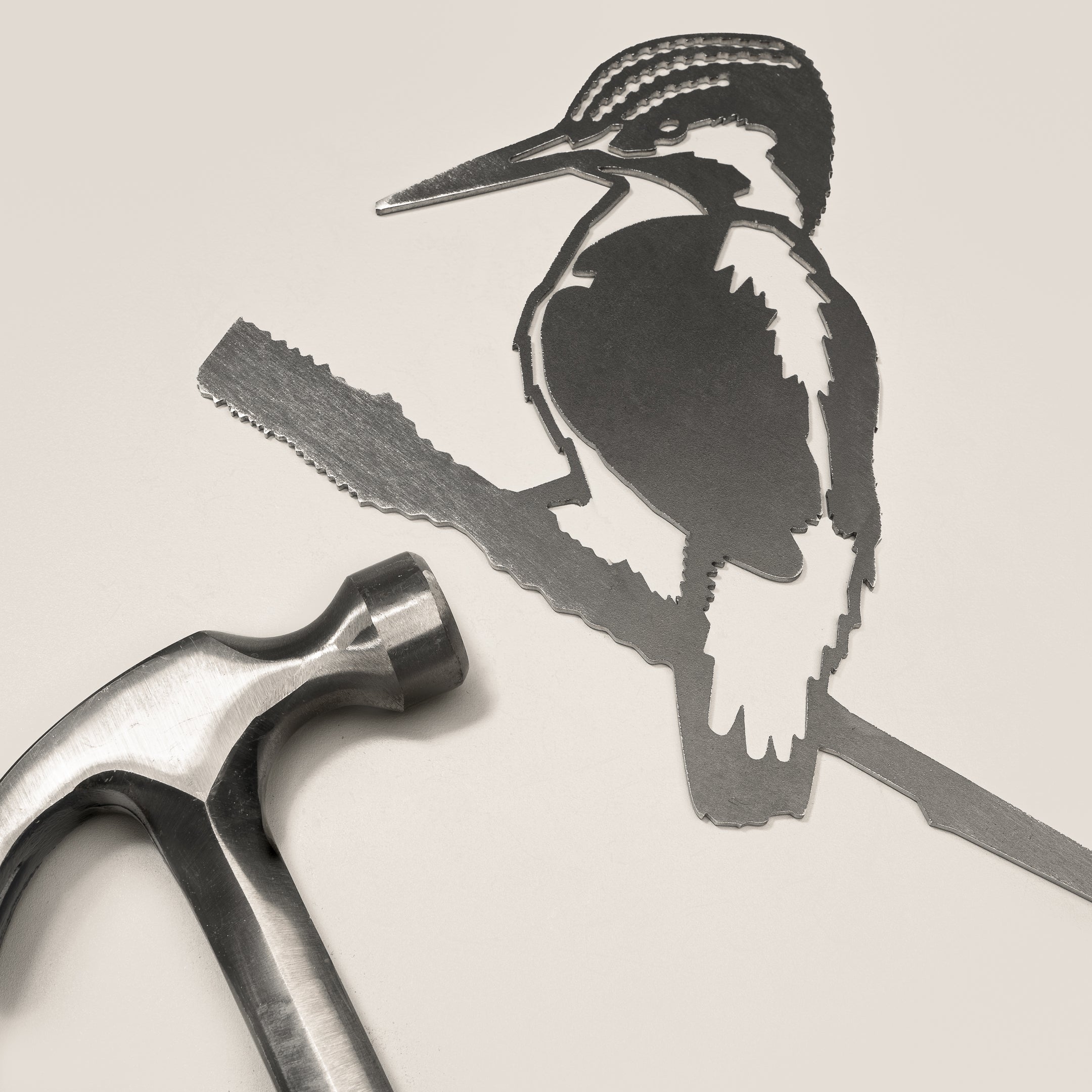 Le Martin Pêcheur D'Europe