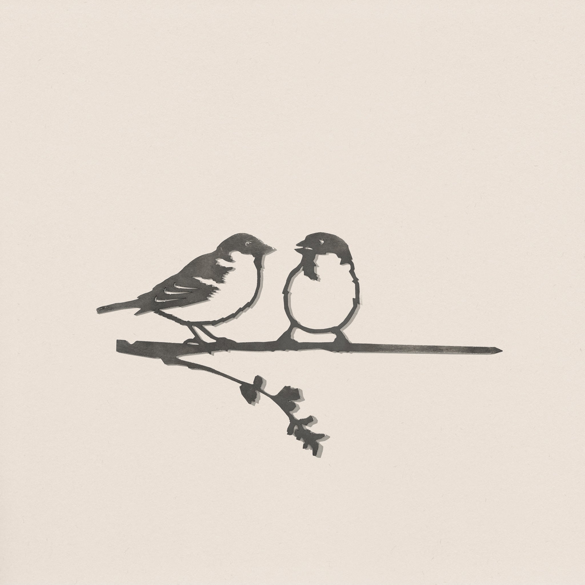 Les Moineaux Domestiques