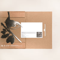 Le Troglodyte Mignon