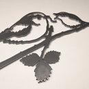 La Mesange A Longue Queue Et Son Oisillon