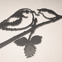 La Mesange A Longue Queue Et Son Oisillon