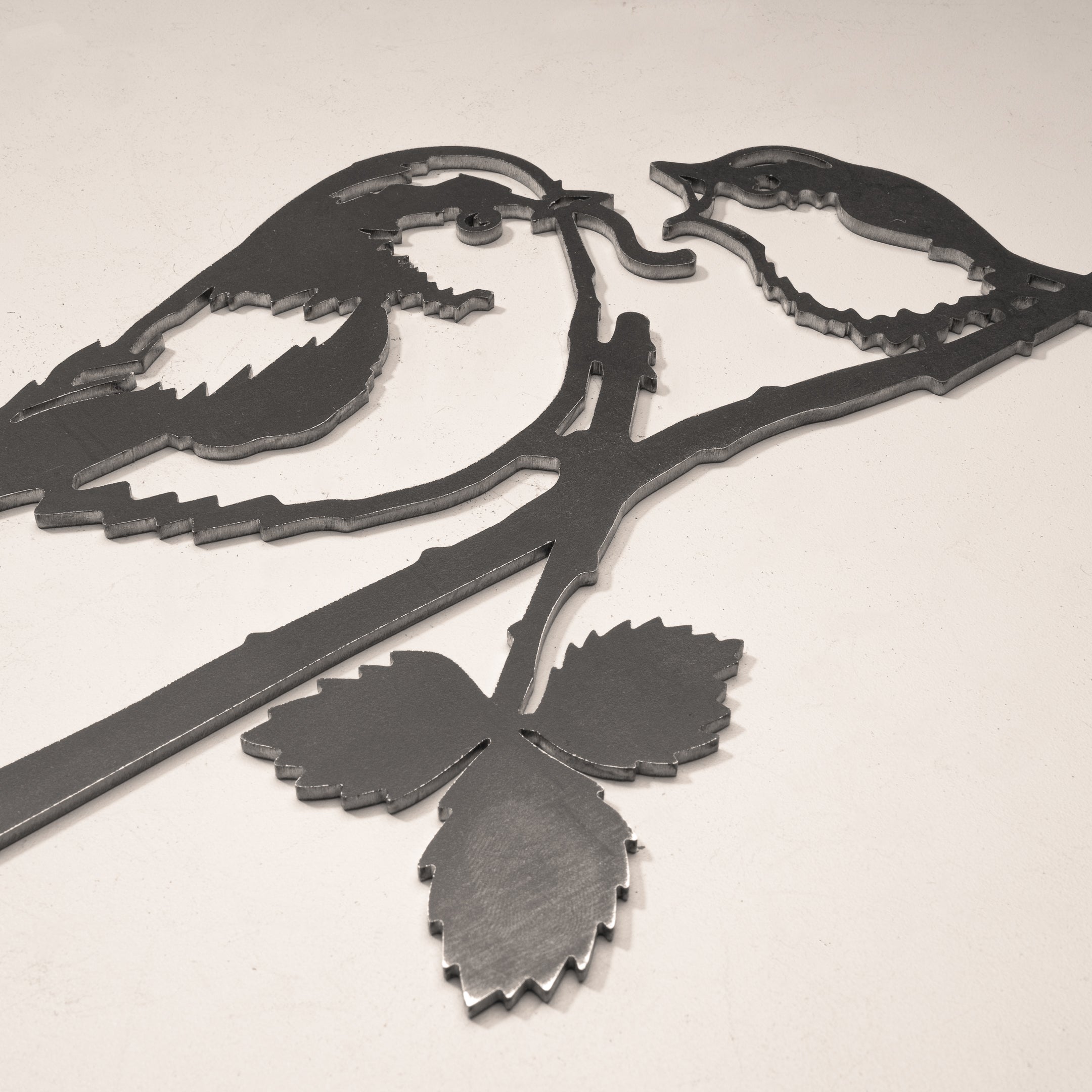 La Mesange A Longue Queue Et Son Oisillon