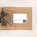 Le Troglodyte Mignon Et Ses Oisillons