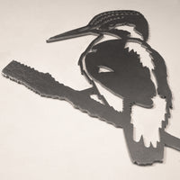 Le Martin Pêcheur D'Europe