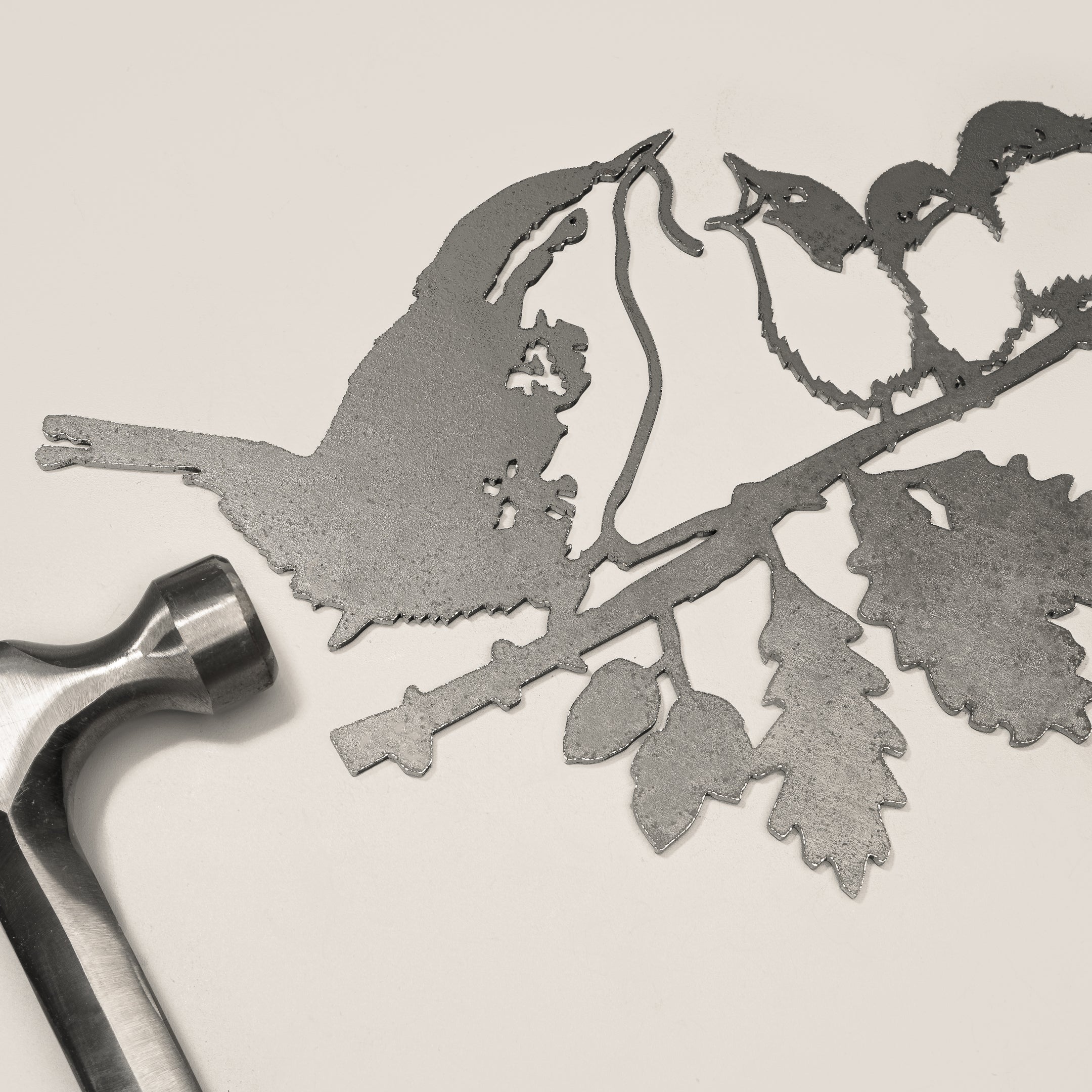 Le Troglodyte Mignon Et Ses Oisillons