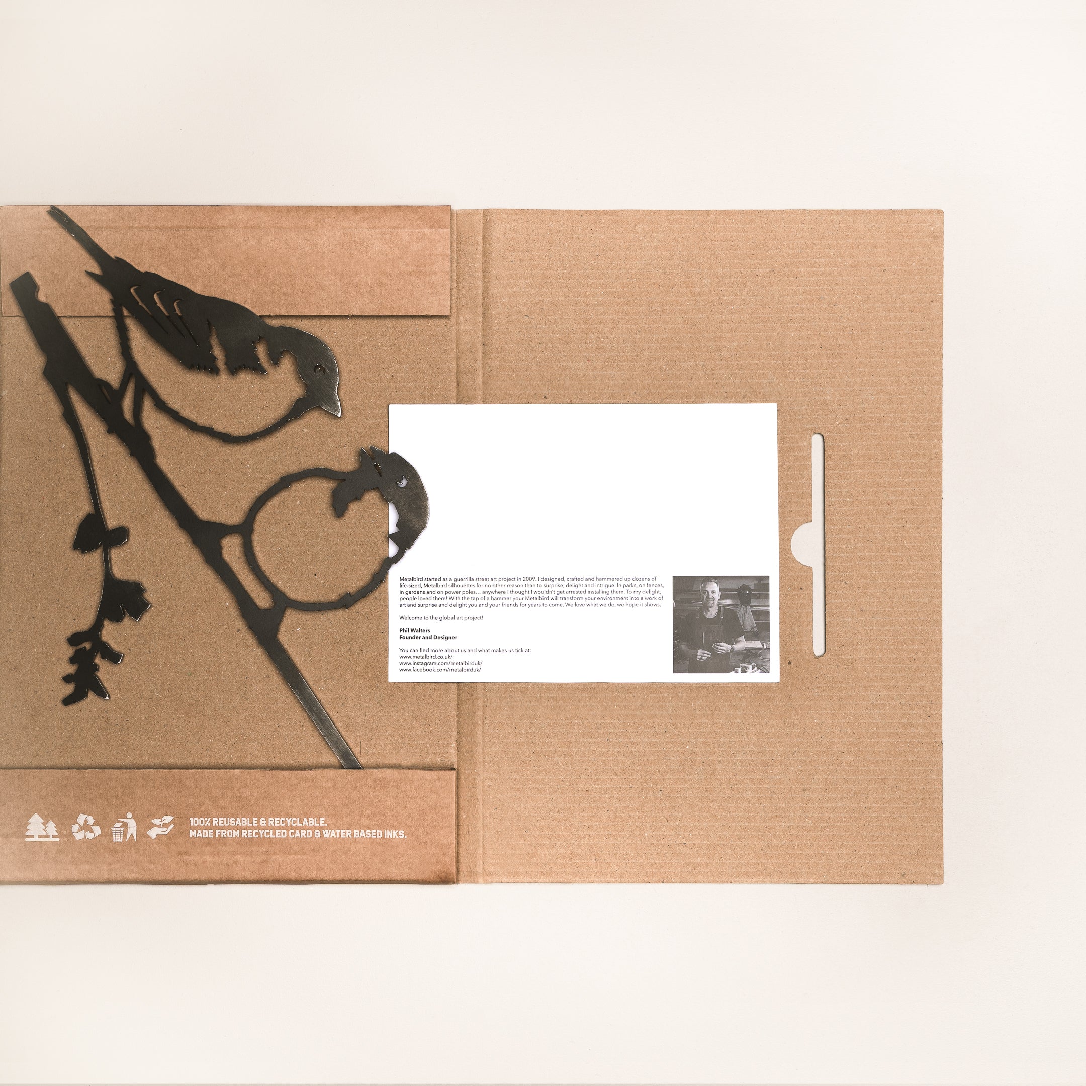 Les Moineaux Domestiques