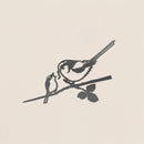 La Mesange A Longue Queue Et Son Oisillon