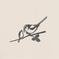 La Mesange A Longue Queue Et Son Oisillon