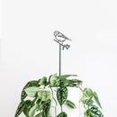 Tuteur de plantes mésange bleue - 70CM