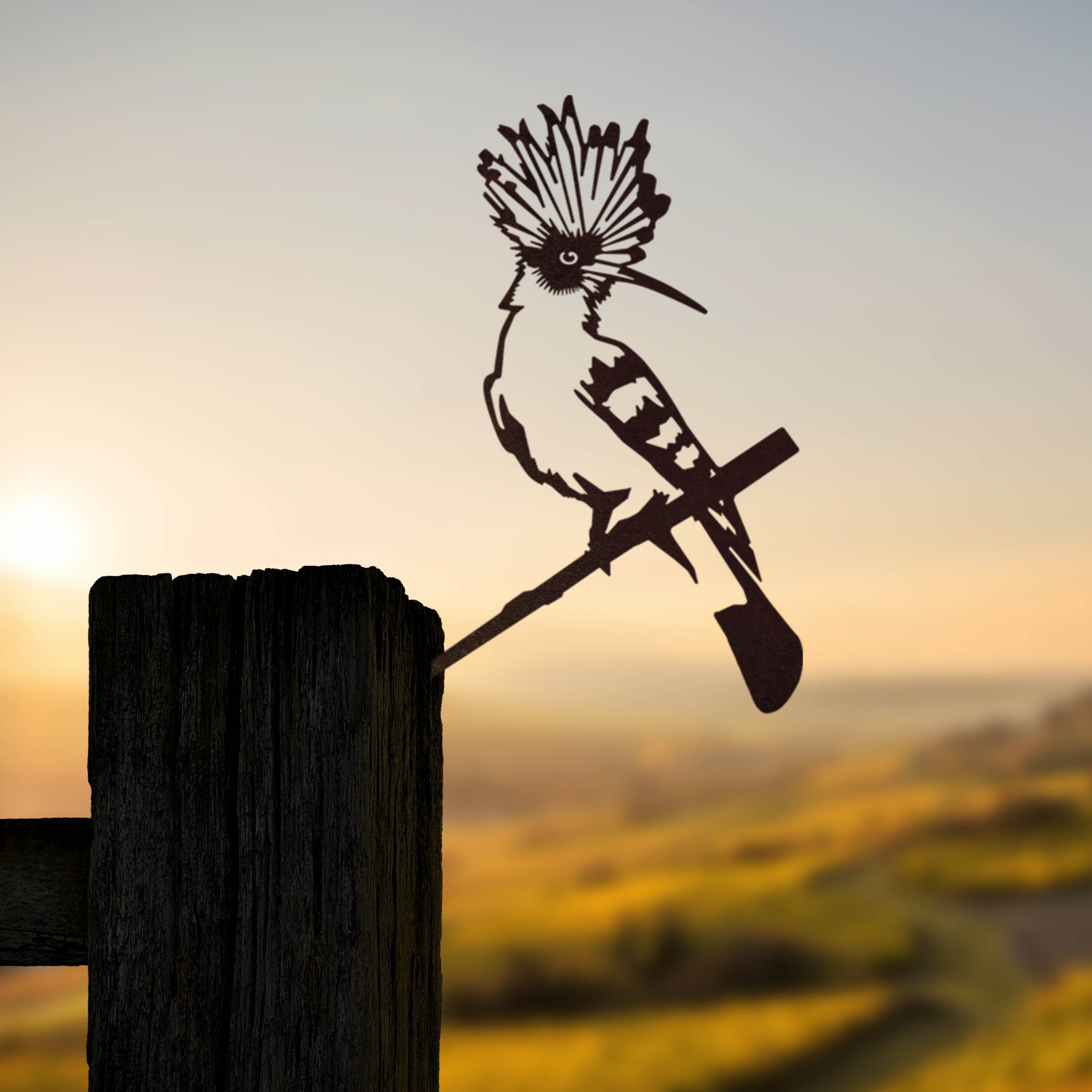 La Huppe Fasciee Eurasienne