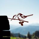 La Mesange A Longue Queue Et Son Oisillon