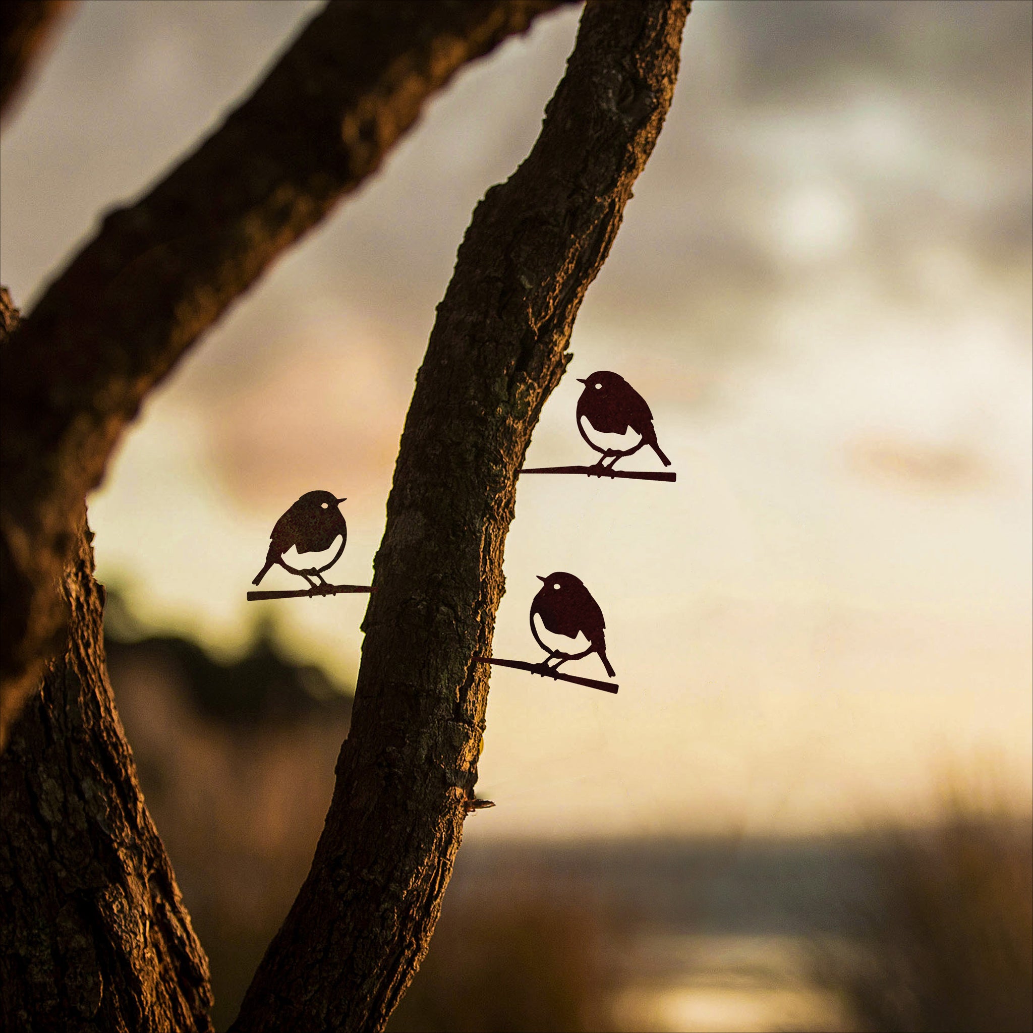 Lot de trois bébés oiseaux uniques