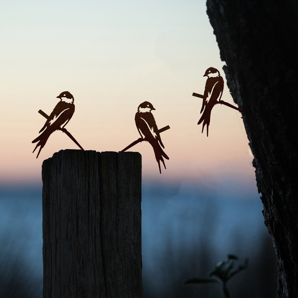 Lot de trois bébés oiseaux uniques