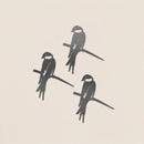 Lot de trois bébés oiseaux uniques