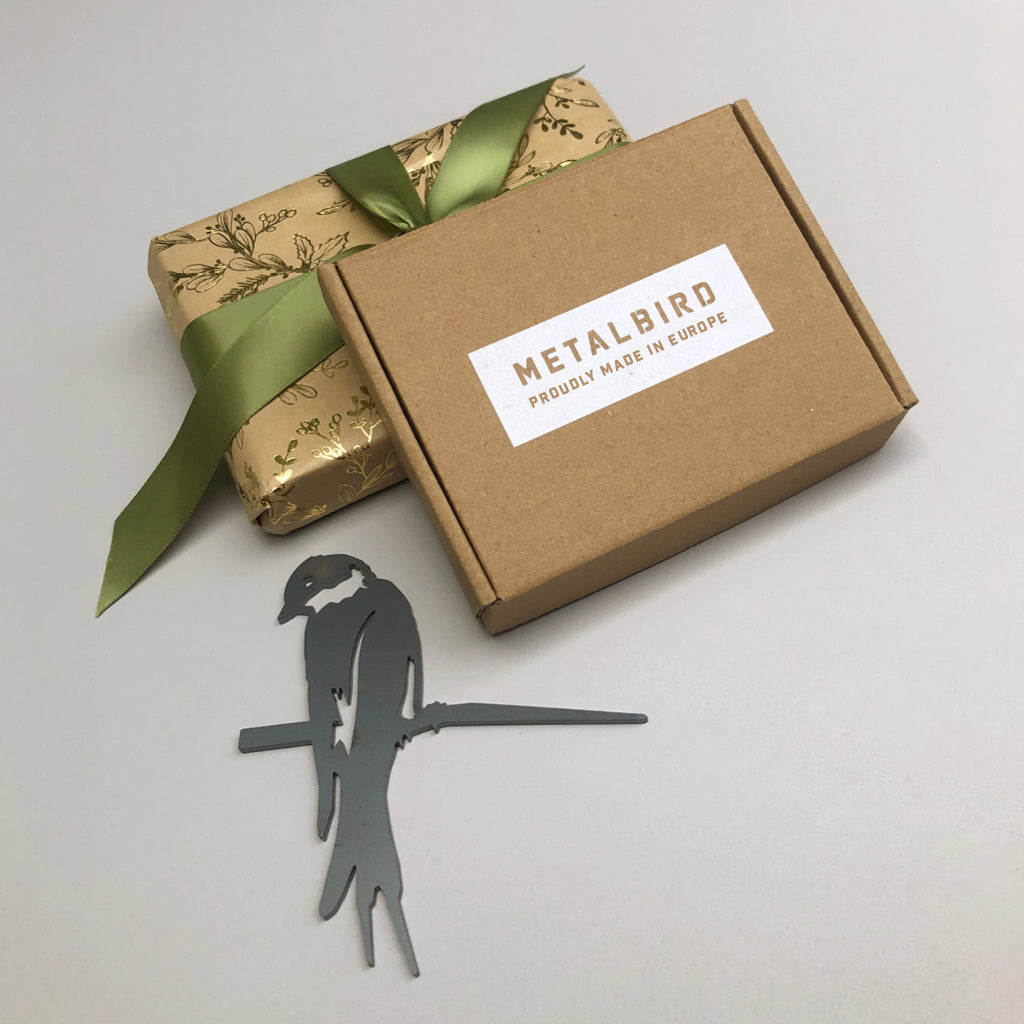 Lot de trois bébés oiseaux uniques