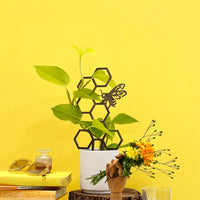 Treillis pour plantes abeille domestique