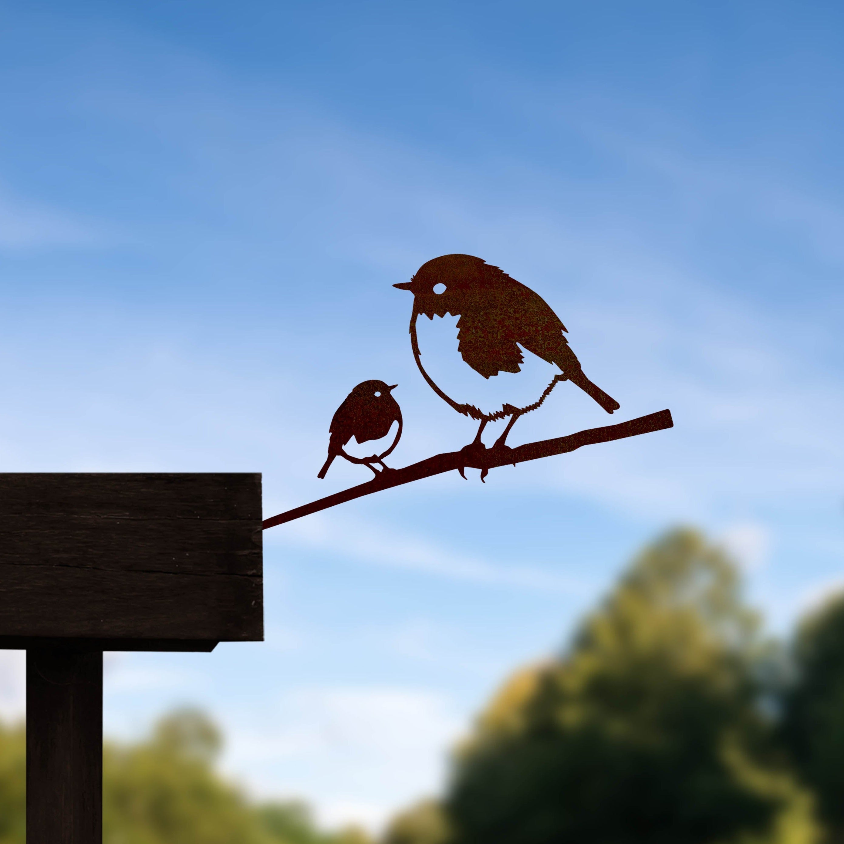 Le Rouge-Gorge Et Son Oisillon