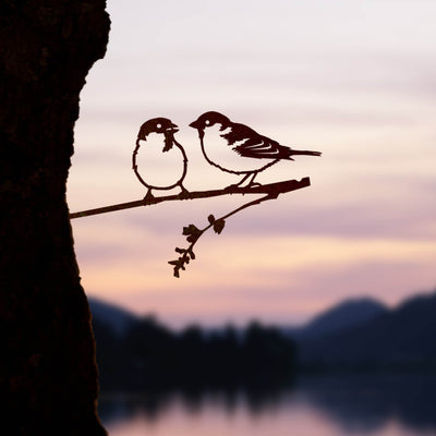 Les Moineaux Domestiques