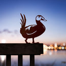 L'Erismature A Tete Blanche