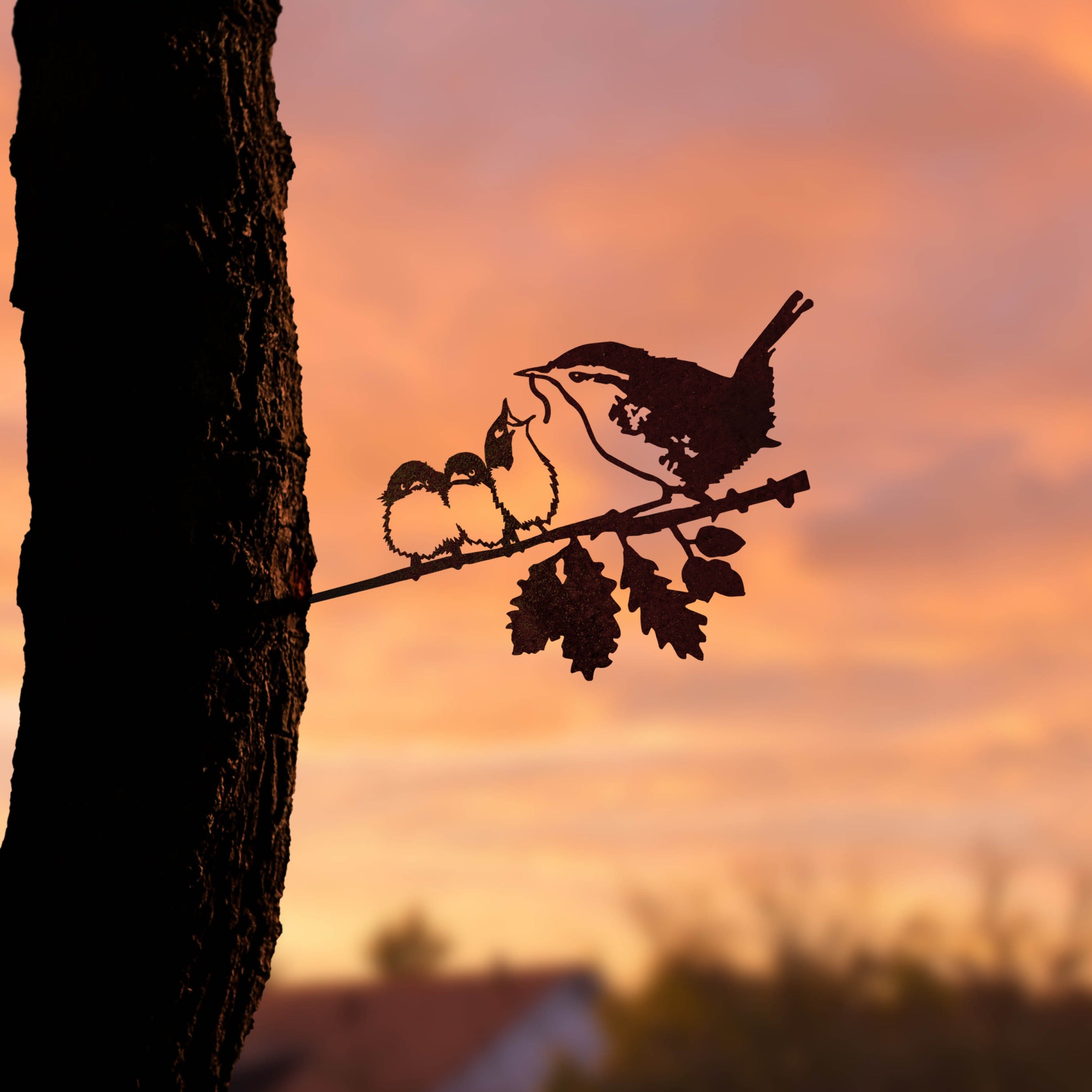 Le Troglodyte Mignon Et Ses Oisillons